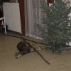 img_8157